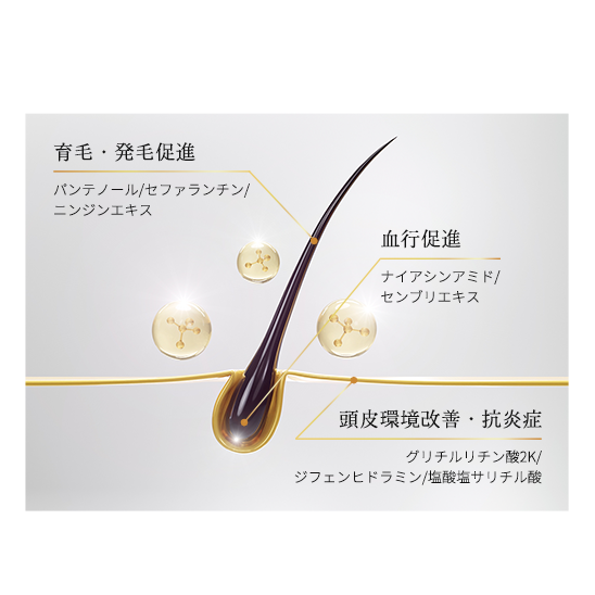 7種の精油